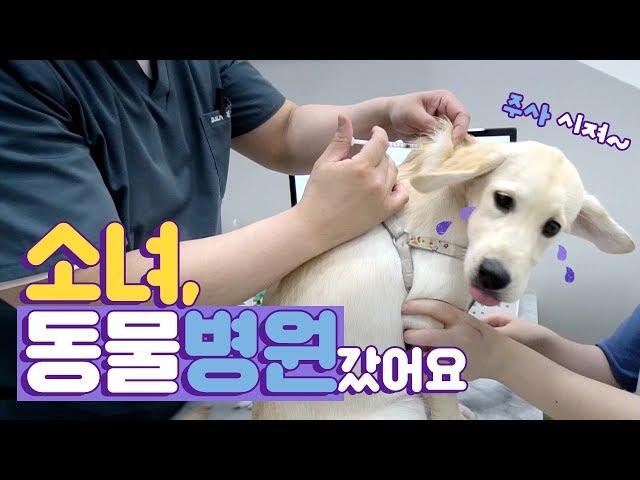 ENG SUB _ Sonyeo went to an animal hospital (feat. love-hate doctor)
