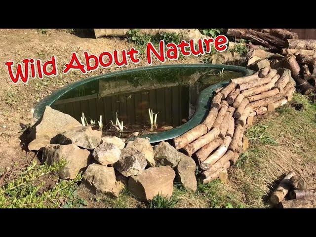 Creating A Log Pile Habitat Around The Pond For Wildlife - 4K