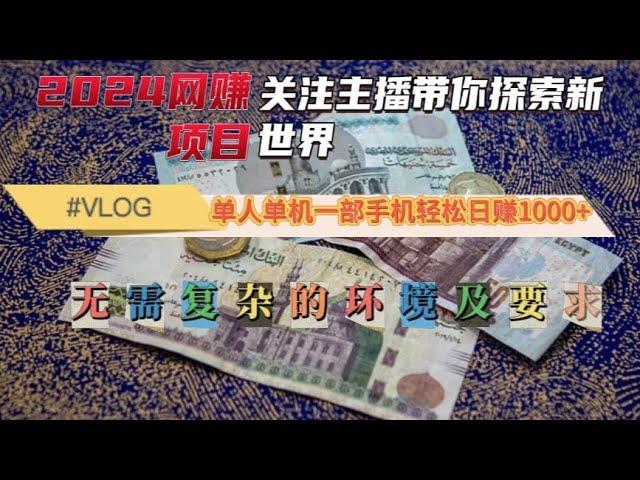 网赚项目，2024赚钱新机会时间自由，低风险稳定高收益月赚过万大揭秘