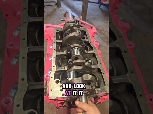 Project Cheap Street! #ford302 #5litre #v8 #ranger #cheapstreet #engine #built #crankshaft!