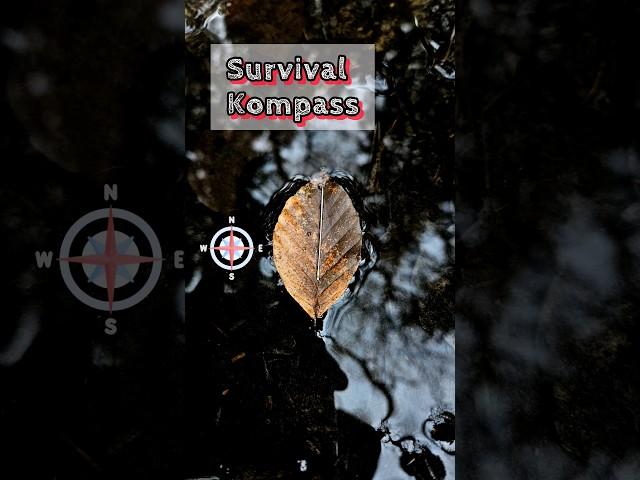 How to make a survival kompass? #survival #outdoors #camping