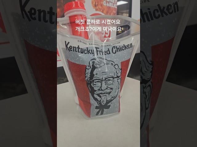 미국백수 KFC 사먹기 American Bum eats KFC new menu (korean bbq nugget)