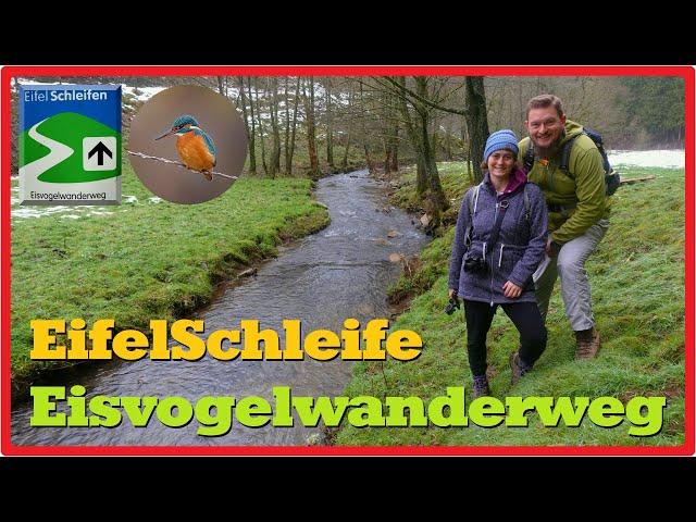 EifelSchleife Eisvogelwanderweg [2,7K]