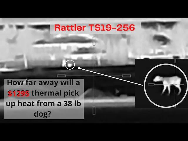 Now $795: AGM Rattler V2 TS19-256 Image Quality from 50-700 yards