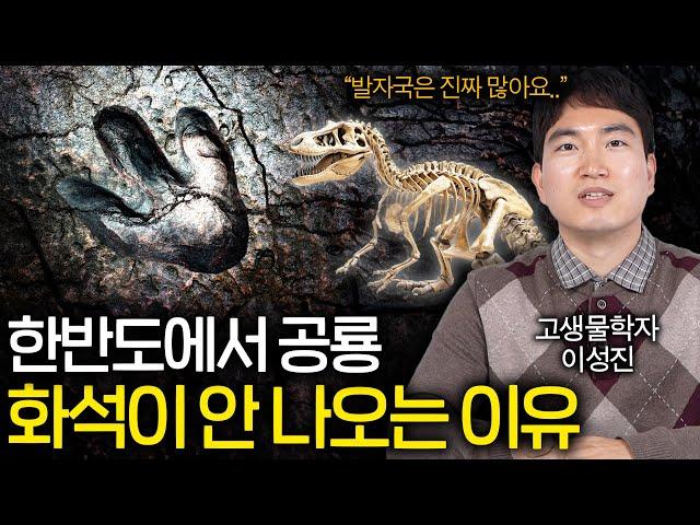 한반도 공룡들이 발자국만 남기고 증발한 이유(알은 전 세계 최대!)