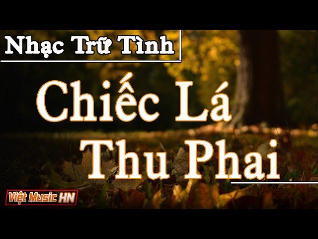 Chiếc Lá Thu Phai – Tình Khúc Hải Ngoại Bất Hủ Bao Chùm Nỗi Nhớ Thương | Nhạc Trữ Tình Xưa Hay Nhất