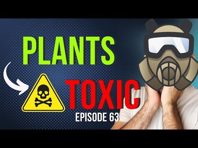 Are Plants Really Trying To Kill Us? (Yes!) - Top 5 Plant Toxins