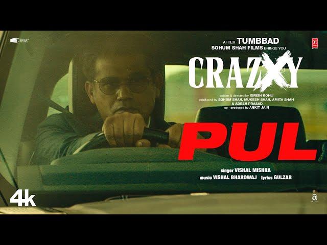 CRAZXY: Pul (Song) | Sohum Shah | Gulzar | Vishal Mishra | Vishal Bhardwaj | Stuart Dacosta