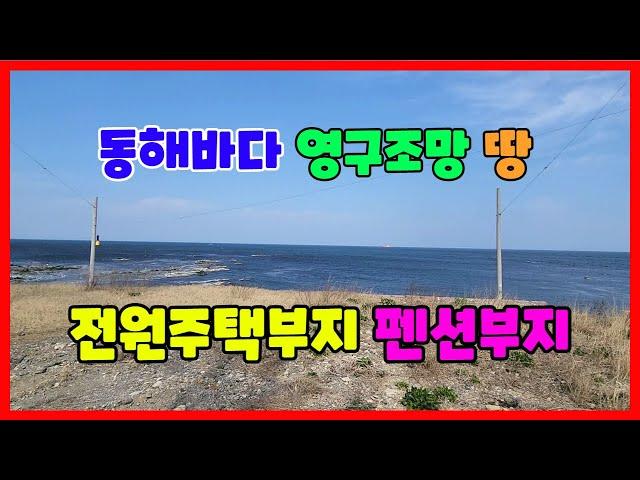 611 구만리 펜션부지매매 영구조망이 가능한 호미곶펜션부지매매 일출을 항상 볼 수 있는 포항토지매매 지대가 약간 높아 전망이 최고인 포항전원주택매매 포항부동산 호미곶부동산