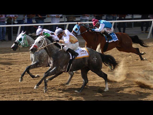 Carreras de Caballos en Ogden, Utah 15 de Septiembre 2024