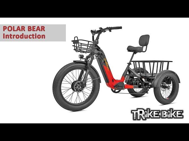 Meet the Sobowo Polar Bear Trike Bike: The Ultimate Fat Tire Electric Tricycle!