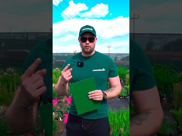Влагозарядый полив на зиму общие рекомендации от питомника растений Fix Garden
