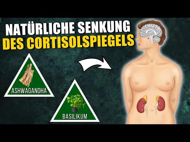 7 Natürliche Mittel zur Senkung des Cortisolspiegels