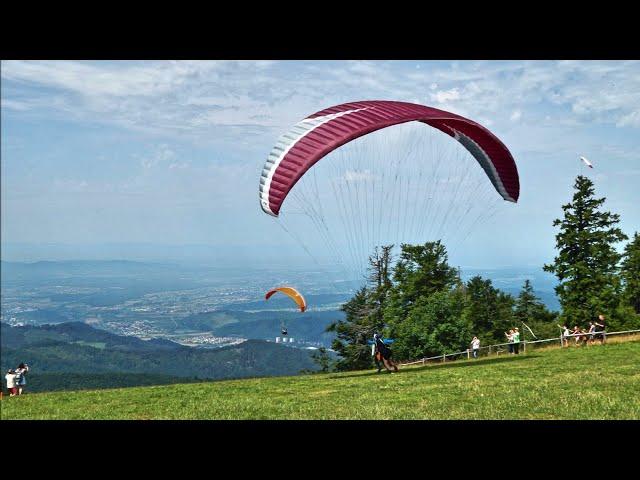 Schwarzwald - Ein Spaziergang zum Kandel-Gipfel (4K)