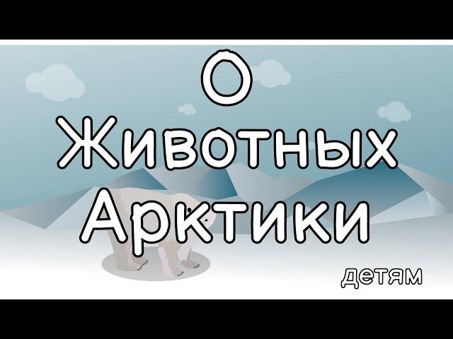 Животные Арктики. Все обо всем.