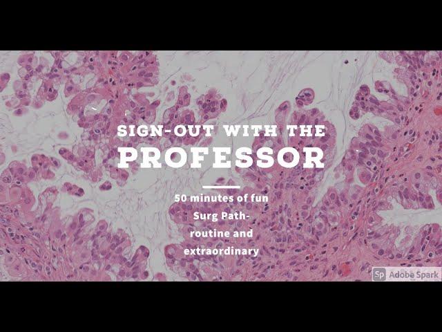 Sign-out with the Professor- Aug'24 IBD