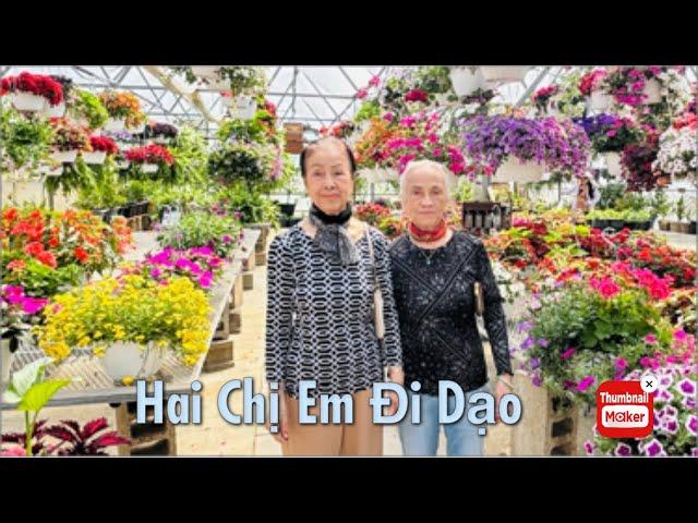 V215 : Ngày Nghĩ Dẫn Mẹ & Dì Đi Mua Hoa, Dạo Công Viên.