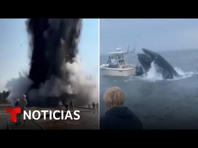 Graban una espectacular explosión y a una ballena embistiendo a un bote | Noticias Telemundo