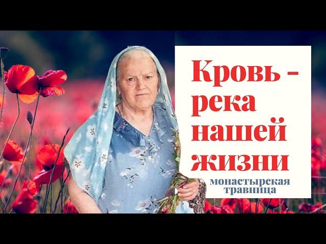 Монастырская Травница | Кровь - река нашей жизни