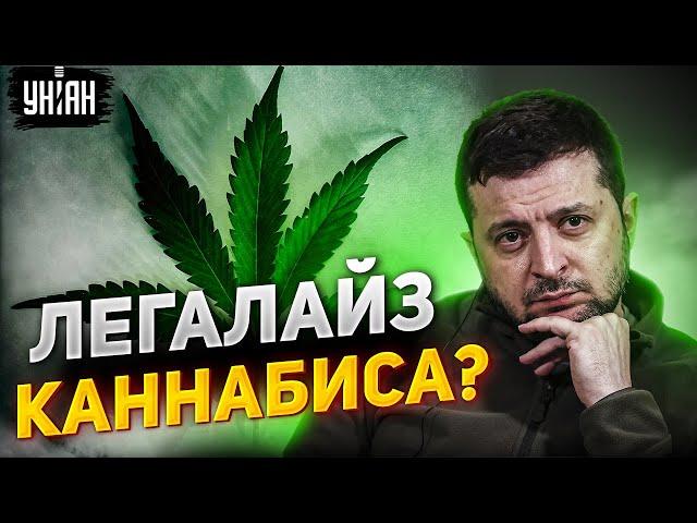 Легализация каннабиса. Зеленский сделал важное заявление