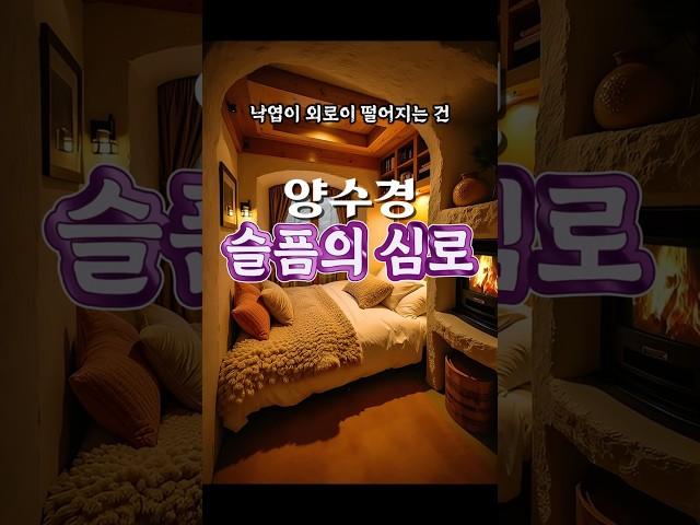 슬픔의 심로(원곡 김학래) - 양수경(1996년 리메이크)  #황금소나무의추억