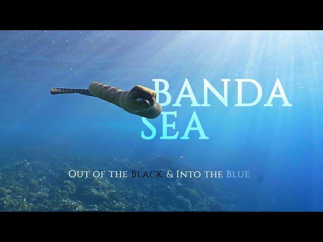 CHAPTER #20: BANDA SEA. Out of the Black & Into the Blue