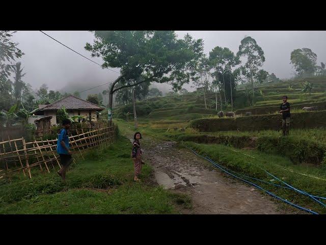 Hawa Sejuk Berkabut Di Perkampungan, Bikin Adem. Suasana Pedesaan Jawa Barat, Garut Selatan