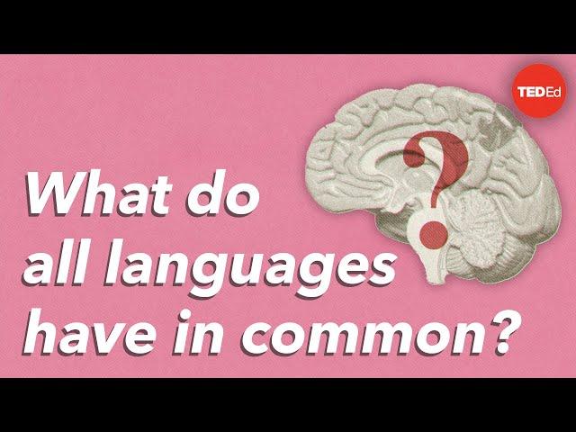 What do all languages have in common? - Cameron Morin