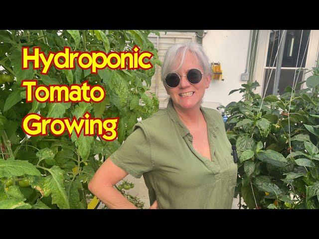 Transforming a Lettuce Greenhouse into Tomatoes