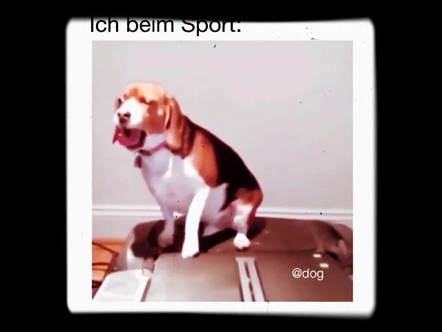 Mein Sport