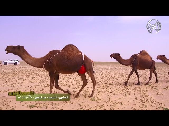 برنامج العساس | الصفيري | الدليمية | حفر الباطن | 28 -8 - 1442