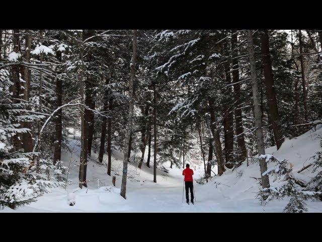 Cross Country Skiing | A Pure Michigan Winter