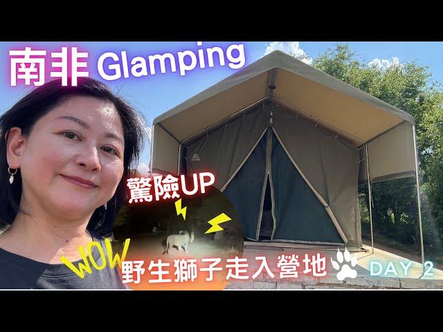 南非野生動物之旅野外Glamping驚險野生獅子走入營地‼️體驗非洲天氣變幻莫測Day 2Part TWO