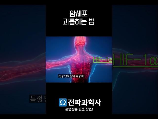 산소 악기바리