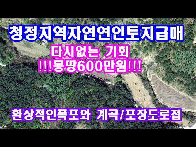 단돈600만원으로 계곡낀 자연인토지를 매입할수 있는 기회,포장도로접