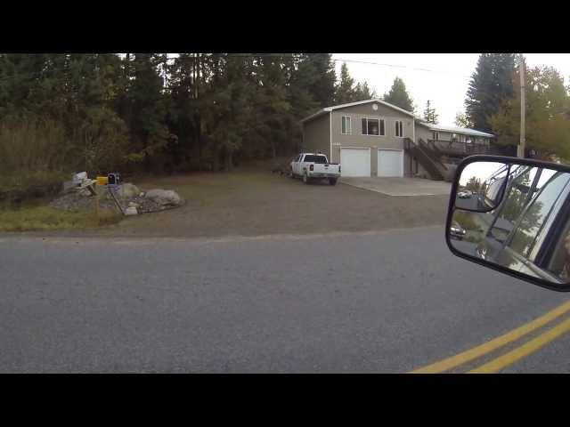 Wild turkeys at Hauser Lake Idaho