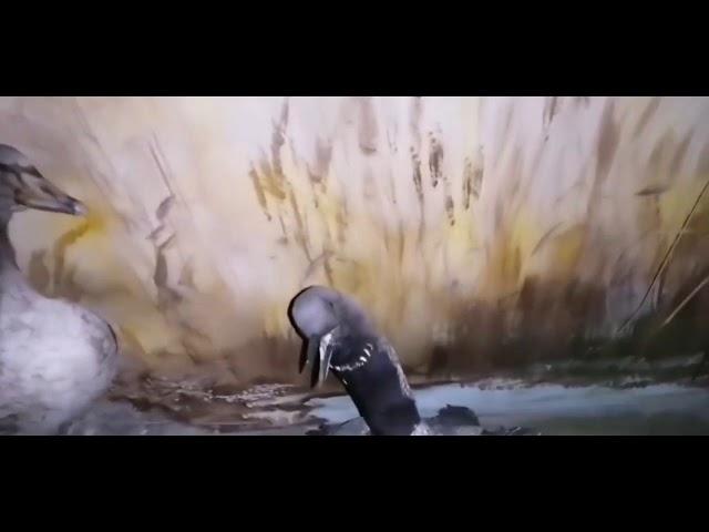 Видео-обзор Историко-краеведческого музея Нуринского района!!!