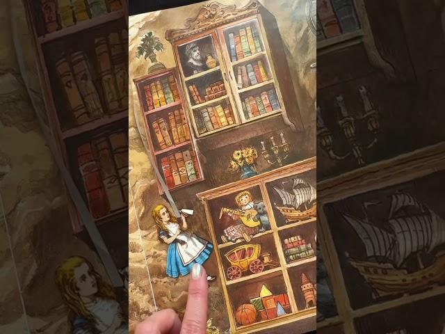 Подарочное издание «Алисы в стране чудес» #алисавстранечудес#кэролл#чтопочитать #советуюкниги