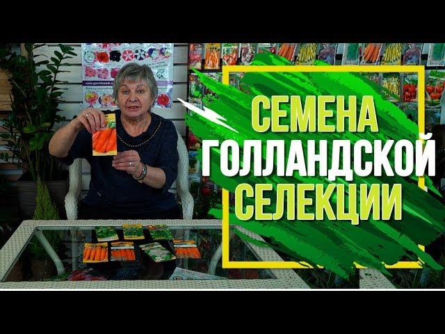 ЭТИ СЕМЕНА ДАДУТ ВАМ ОТЛИЧНЫЙ УРОЖАЙ  Семена голландской селекции