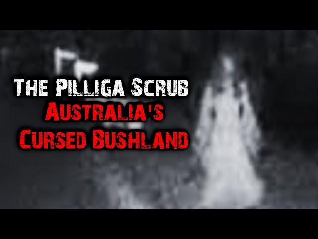 The Pilliga Scrub | Australia's Cursed Bushland