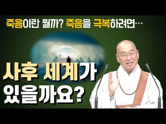 [법륜스님의 세상보기] 사후세계가 있을까요?