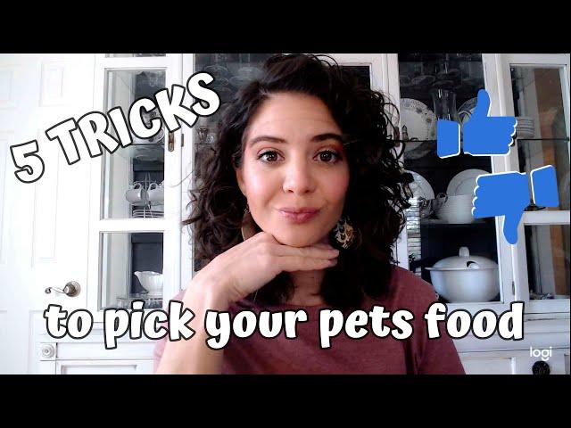 Beginner’s guide for picking the best dog food. 5 easy tips