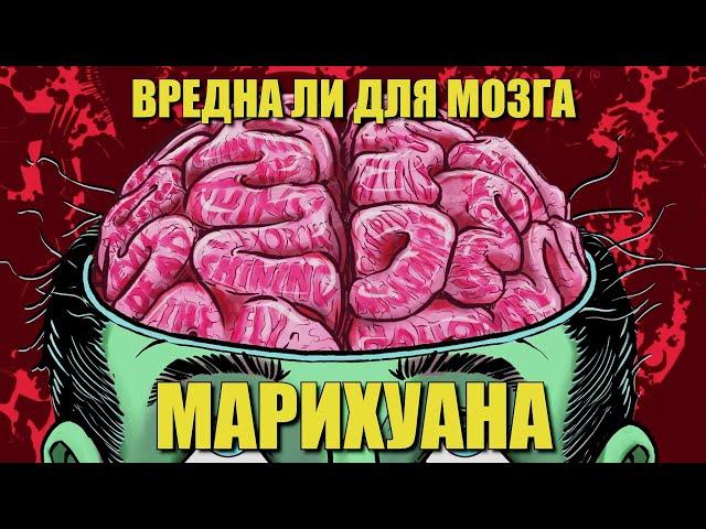 Вредна ли для мозга марихуана