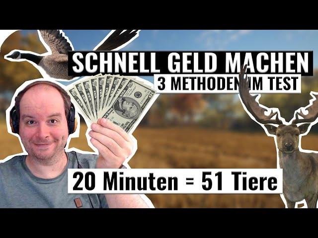 So machst du am schnellsten Geld! Die besten Methoden! || theHunter Call of the Wild