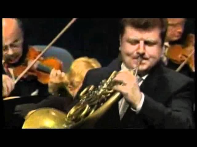 Mozart 1st French Horn Concerto Shreds