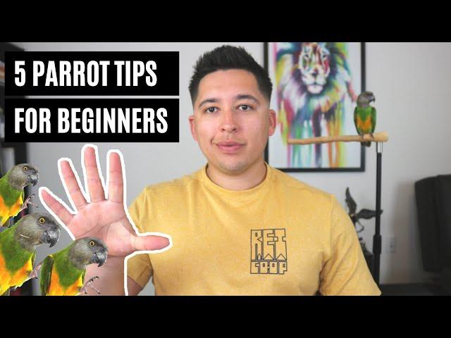 5 Beginner Parrot Owner Tips | If Only I Knew These Things When I First Got My Parrot...