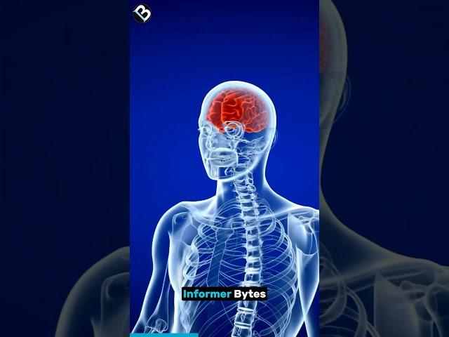 10 Mind Blowing Facts about Human Brain