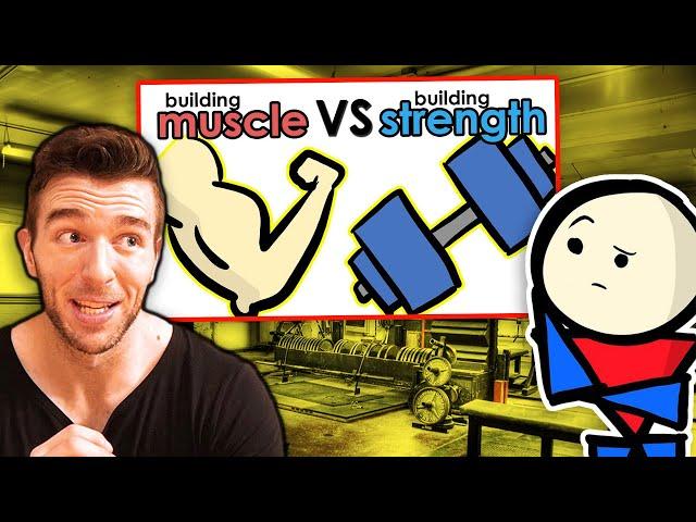 How To Build Muscle Vs How To Build Strength - The Major Difference