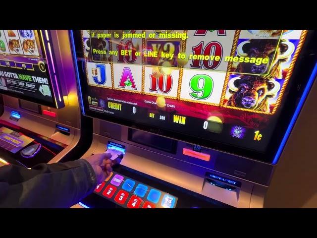 BUFFALO SLOT Premier During Cancer Treatment #22.5