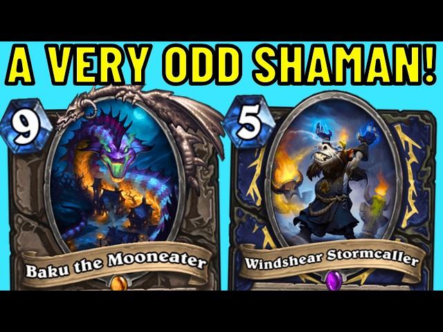 Infinite Taunt Totems?! Odd Shaman is Better Than EVER!